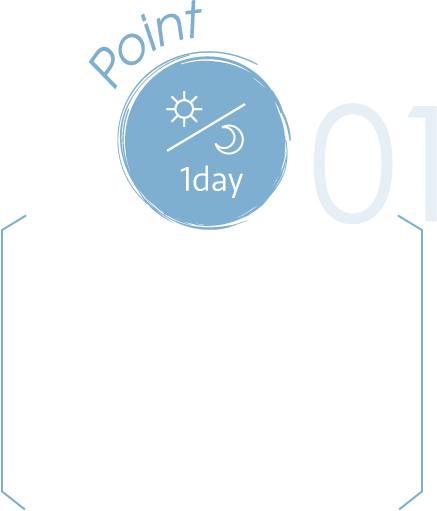 point 1day
