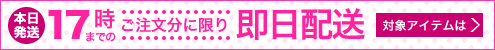 17時までのご注文に限り即日配送