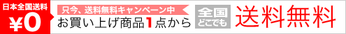 全国どこでも送料無料